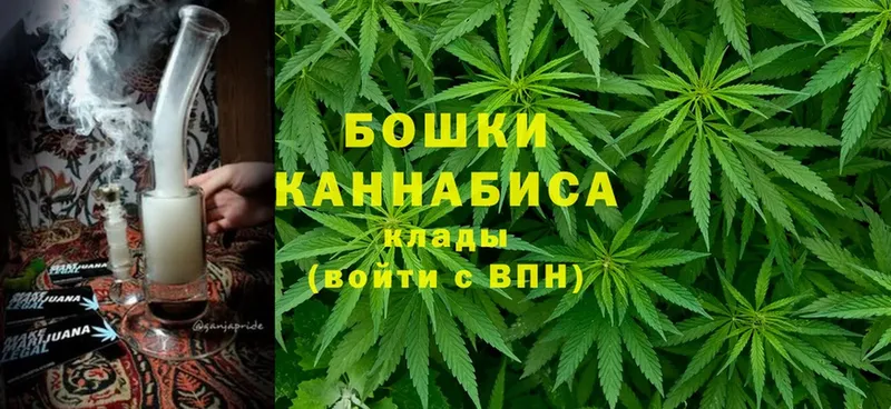 где найти   Невинномысск  Каннабис SATIVA & INDICA 